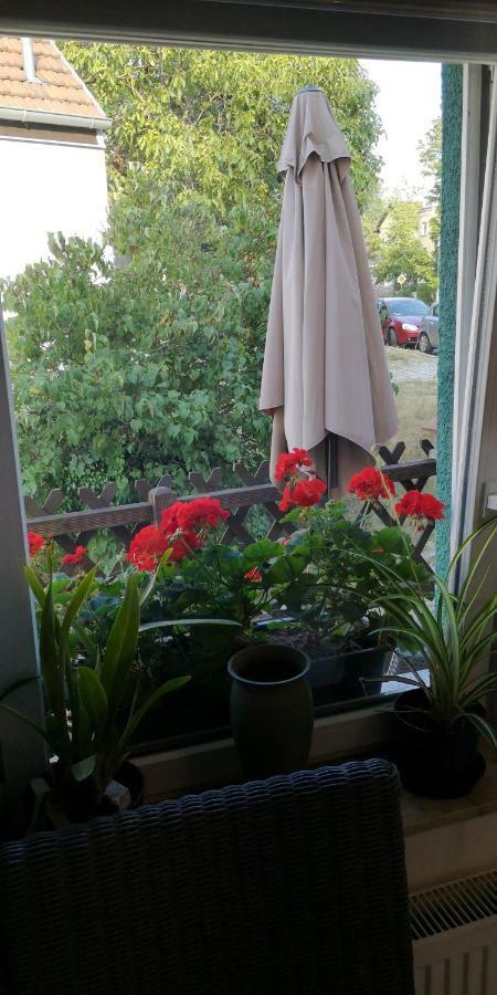 Dorfstrasse 21 Ferienwohnung 3 Schwielowsee Εξωτερικό φωτογραφία